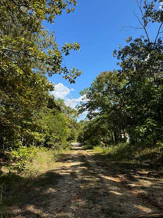 0.33 Acres of Residential Land for Sale in Horseshoe Bend, Arkansas