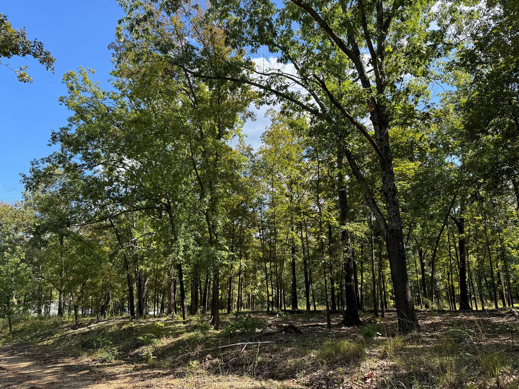 0.41 Acres of Residential Land for Sale in Horseshoe Bend, Arkansas