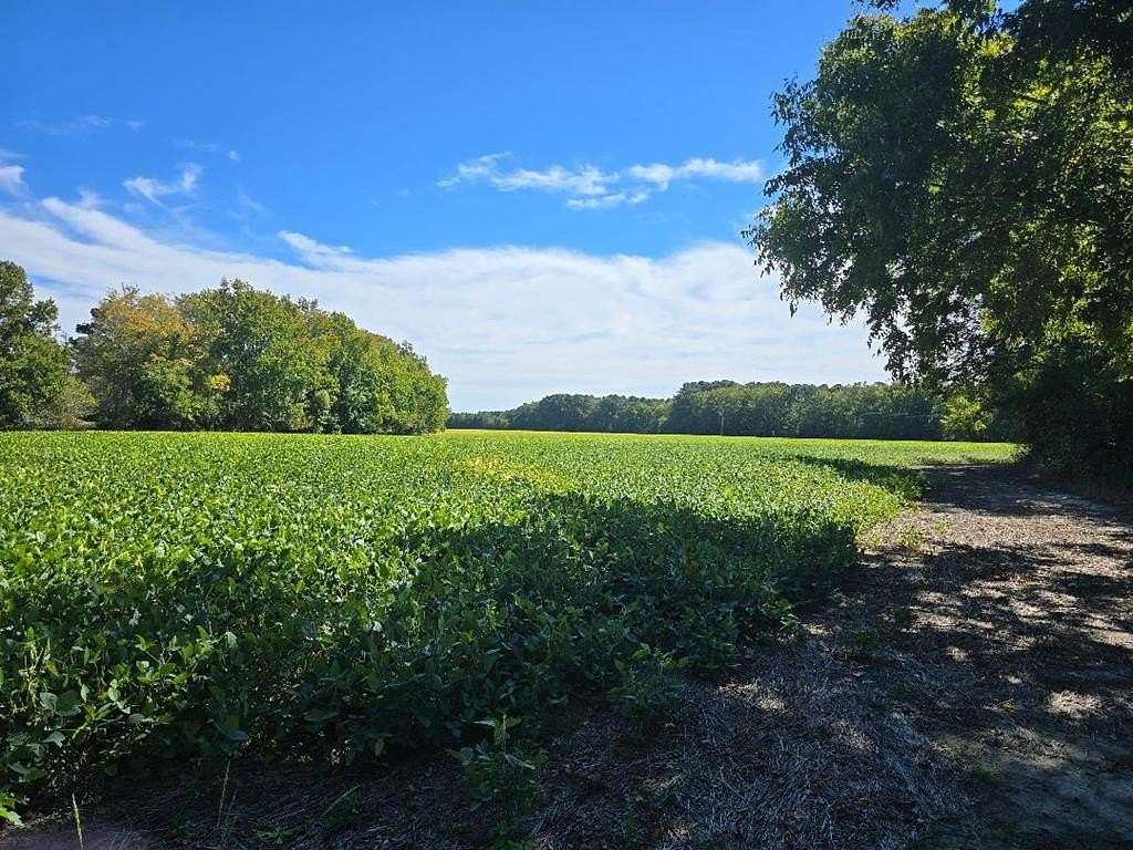 18.5 Acres of Land for Sale in Parksley, Virginia