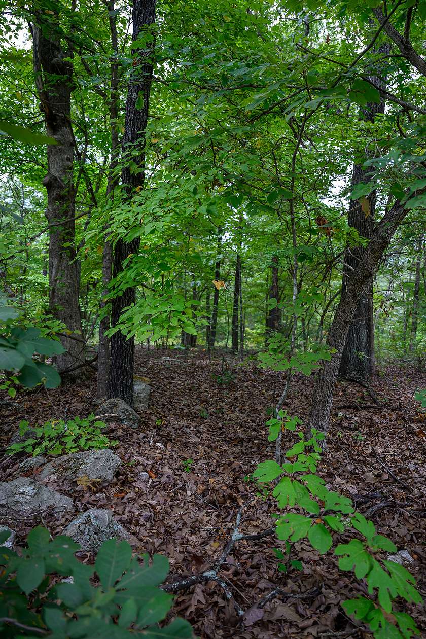 0.33 Acres of Residential Land for Sale in Horseshoe Bend, Arkansas