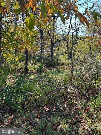 0.4 Acres of Residential Land for Sale in Auburn, Pennsylvania