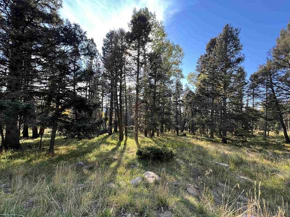 0.86 Acres of Residential Land for Sale in Angel Fire, New Mexico