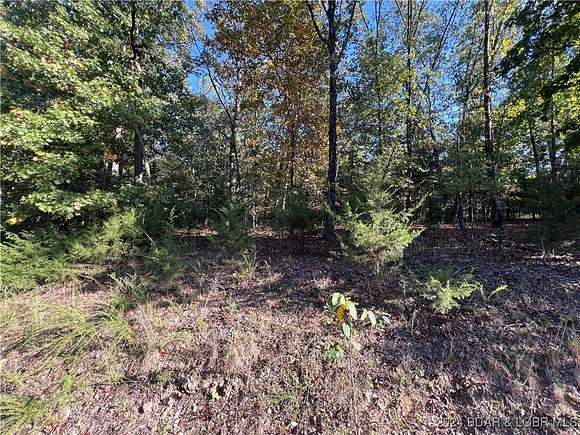 0.49 Acres of Residential Land for Sale in Sunrise Beach, Missouri