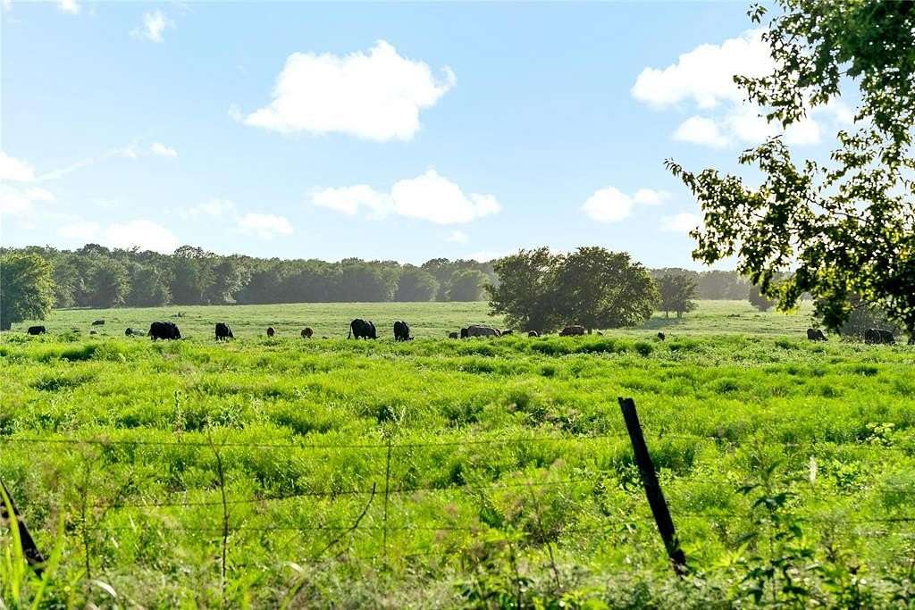 484.596 Acres of Land for Sale in Lake Creek, Texas