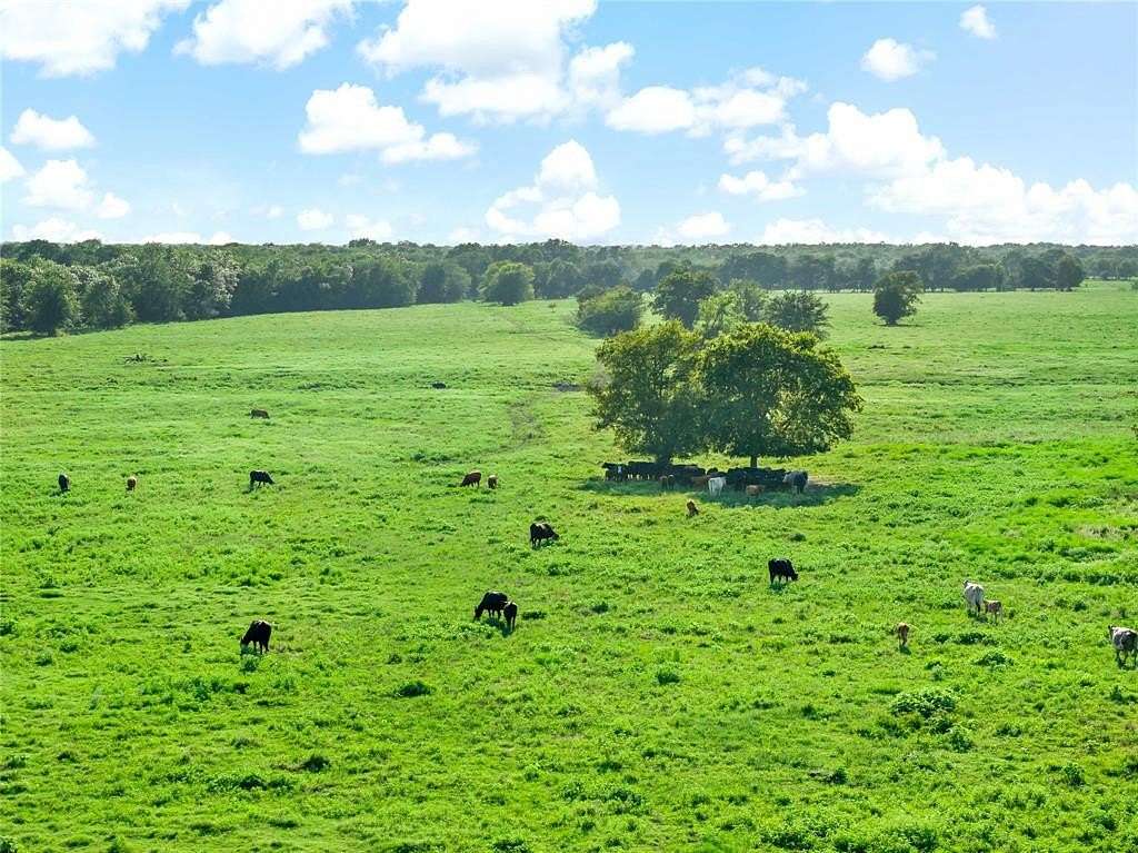 484.596 Acres of Agricultural Land for Sale in Lake Creek, Texas