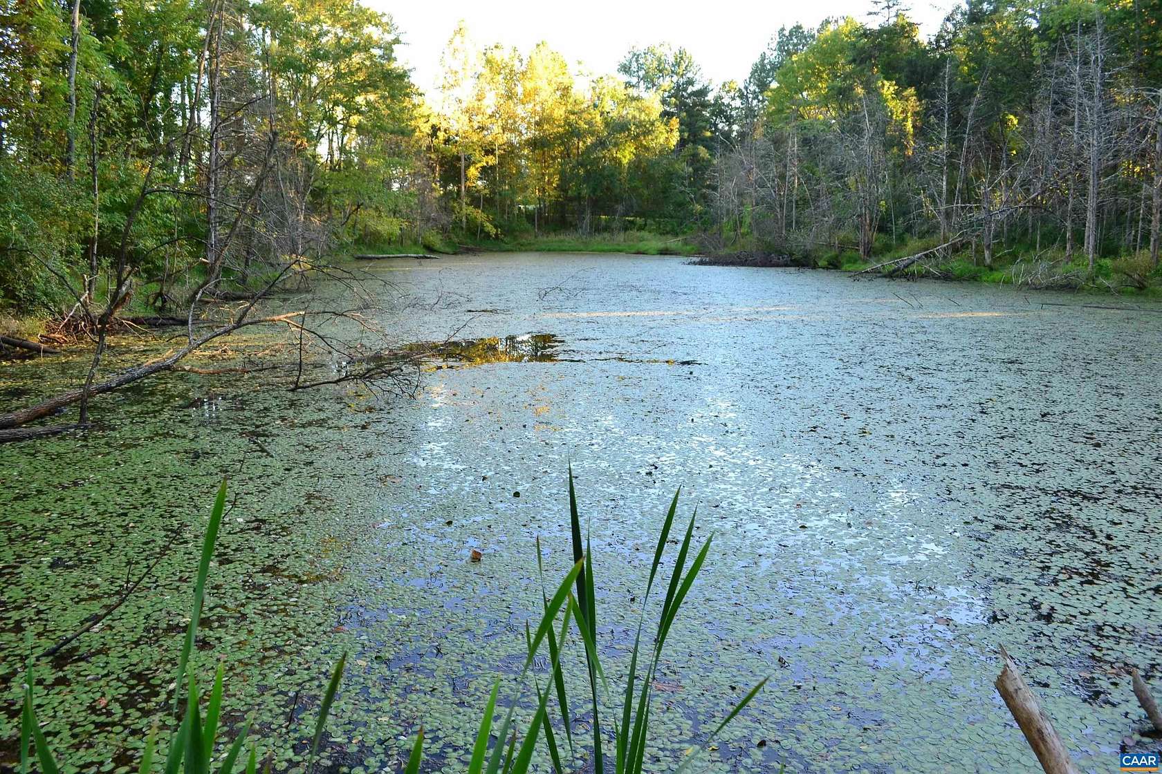 5.85 Acres of Residential Land for Sale in Charlottesville, Virginia