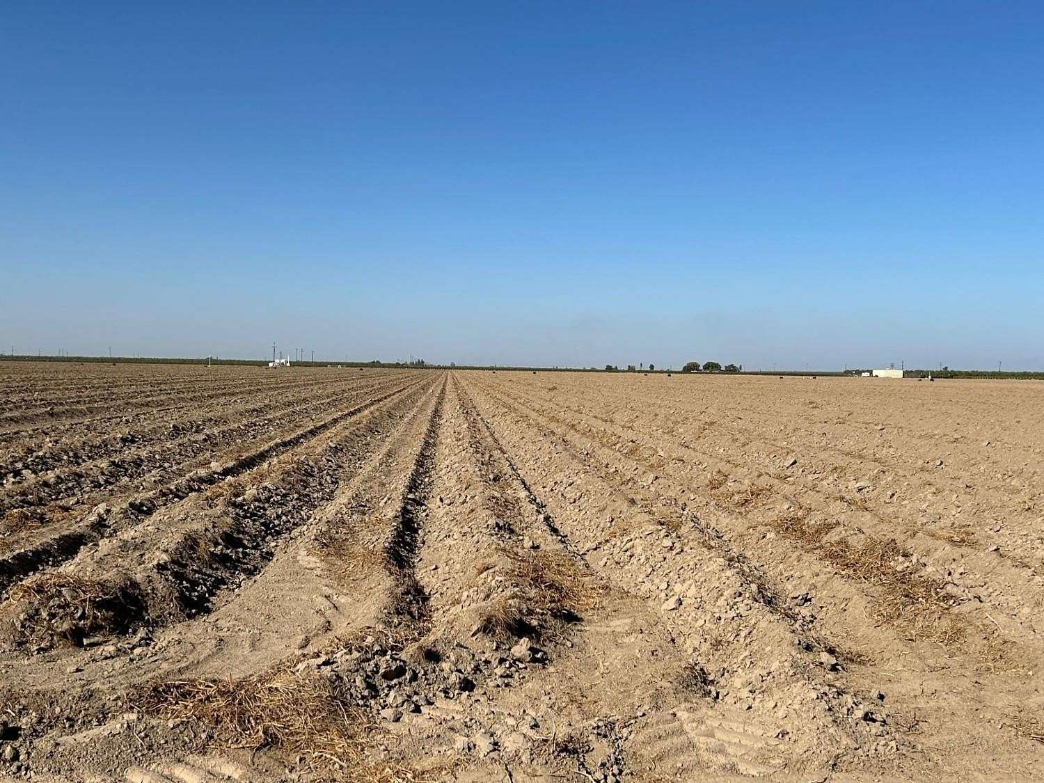 153.95 Acres of Agricultural Land for Sale in Madera, California