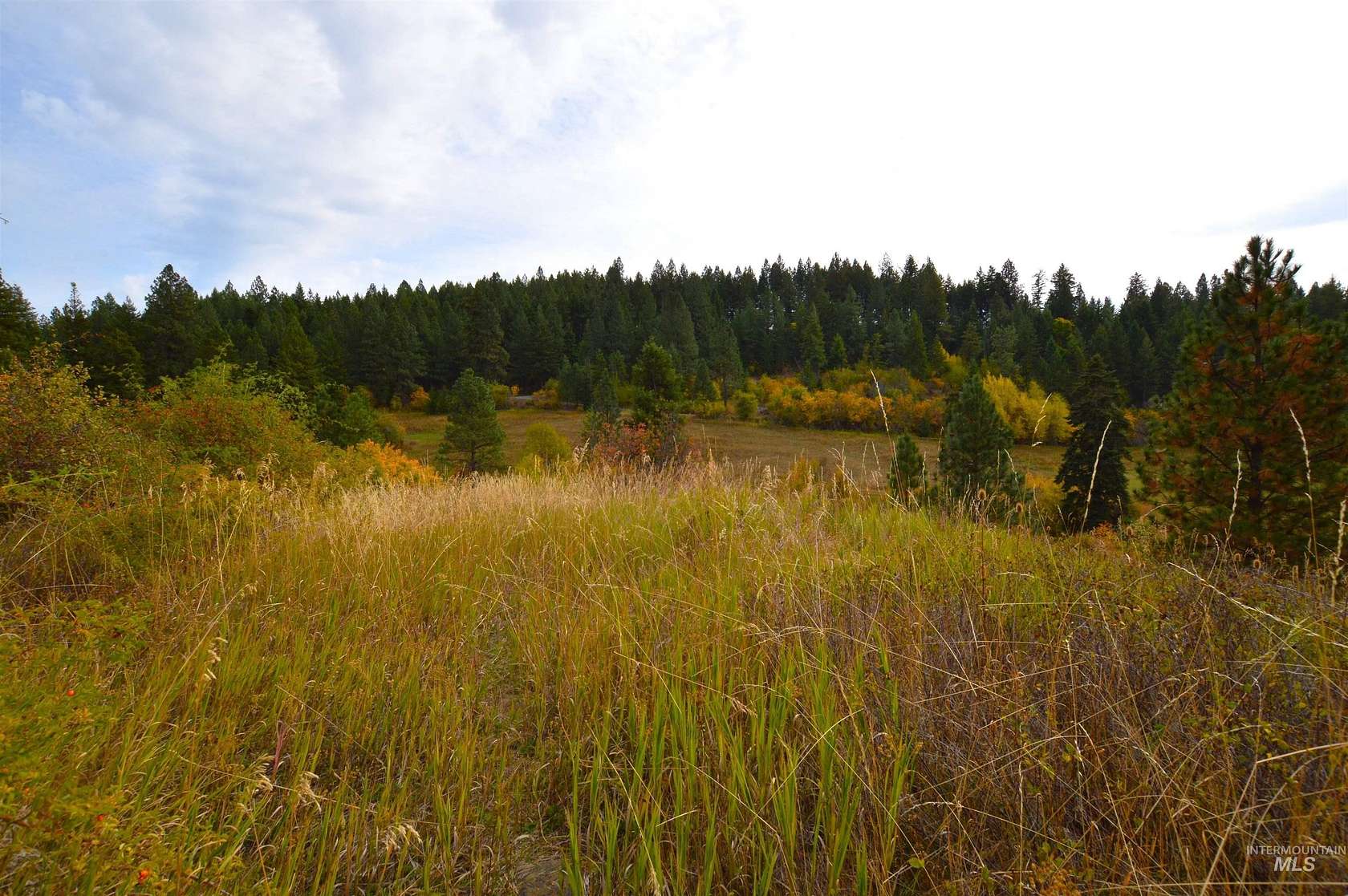 2.75 Acres of Residential Land for Sale in Kamiah, Idaho