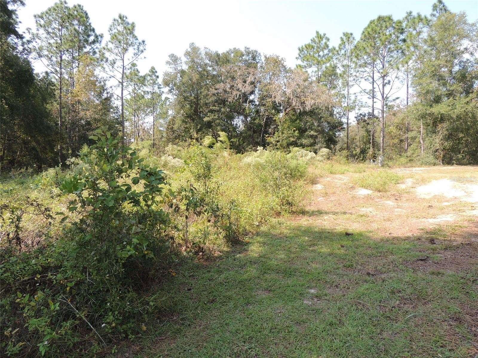 0.23 Acres of Land for Sale in Williston, Florida