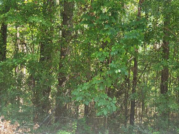 0.34 Acres of Residential Land for Sale in Thomson, Georgia