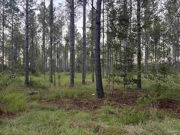 5 Acres of Residential Land for Sale in Pace, Florida