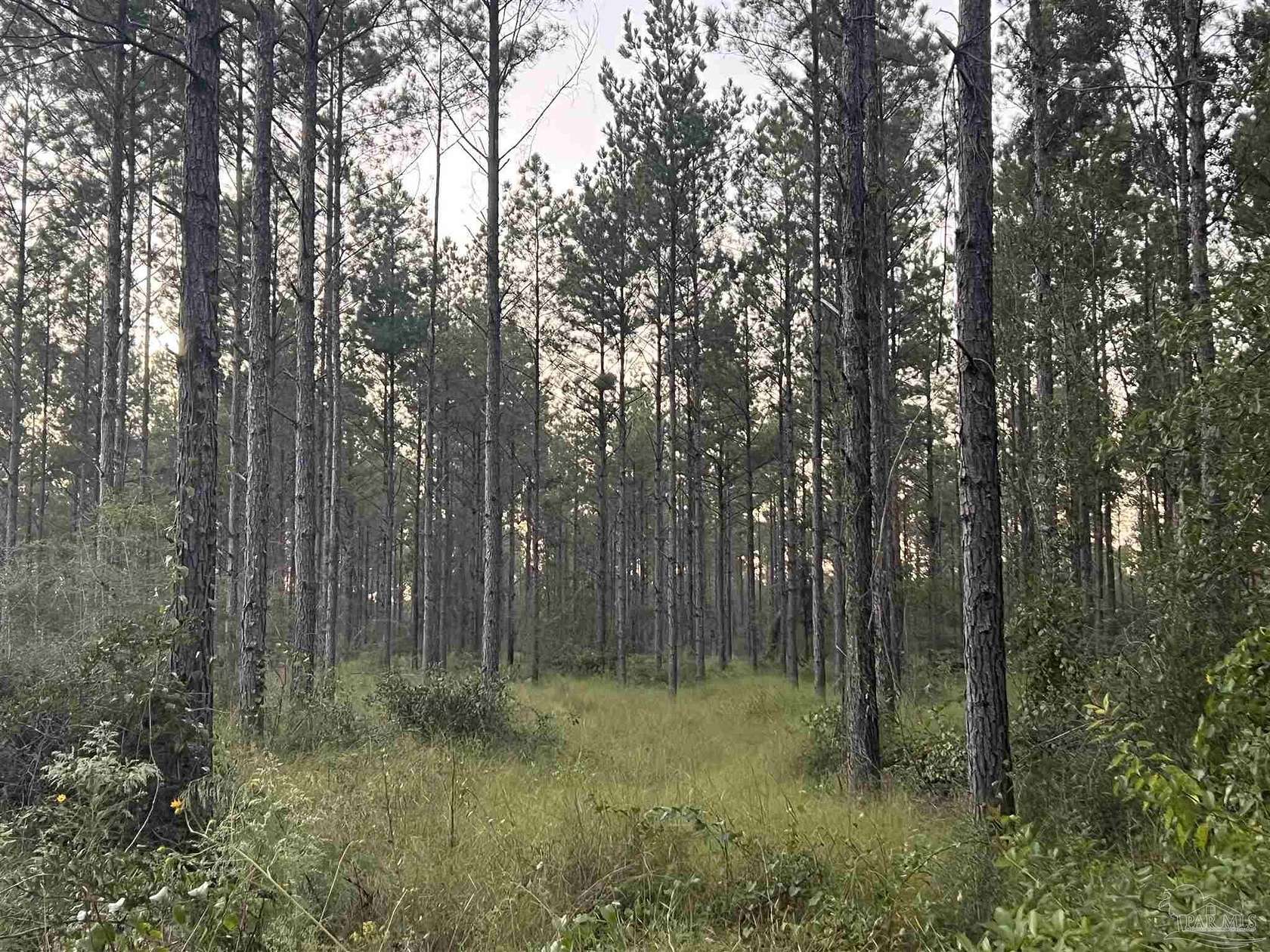 5 Acres of Residential Land for Sale in Pace, Florida