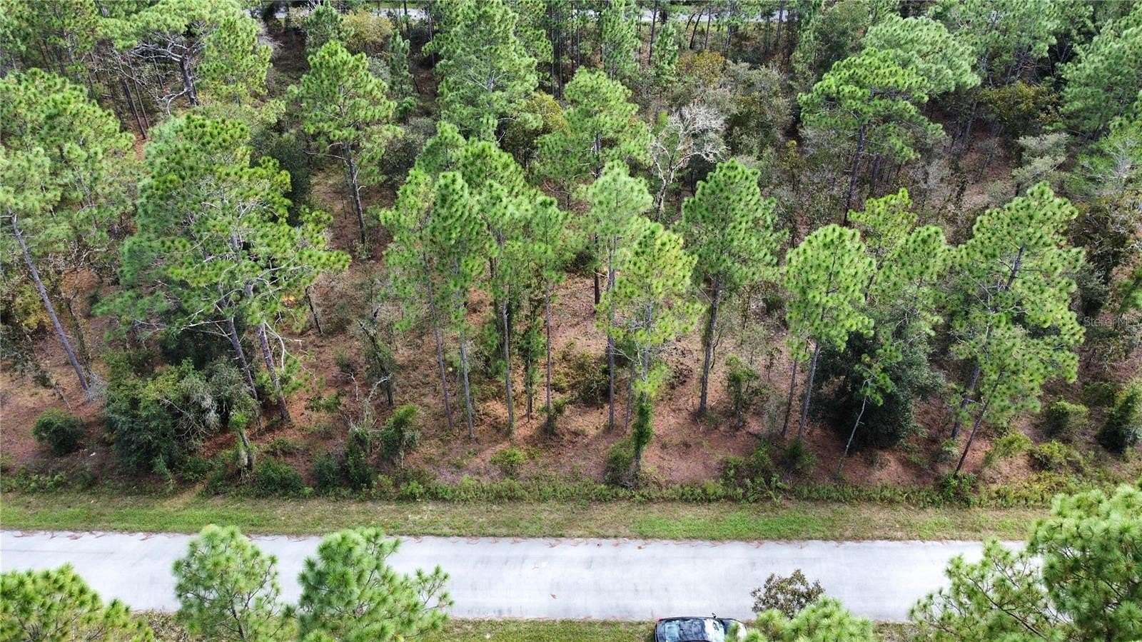 0.25 Acres of Residential Land for Sale in Dunnellon, Florida