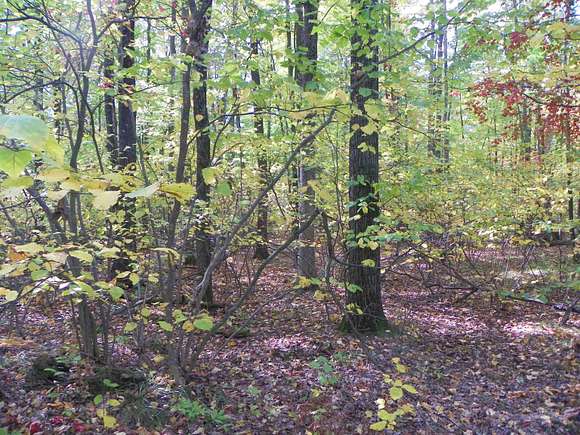 6.8 Acres of Residential Land for Sale in Harrison, Michigan