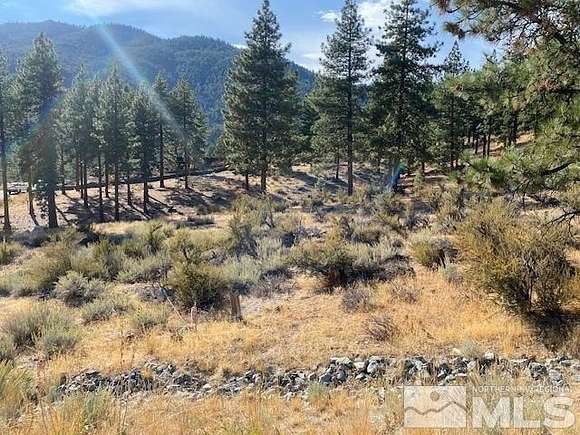 0.7 Acres of Residential Land for Sale in Carson City, Nevada