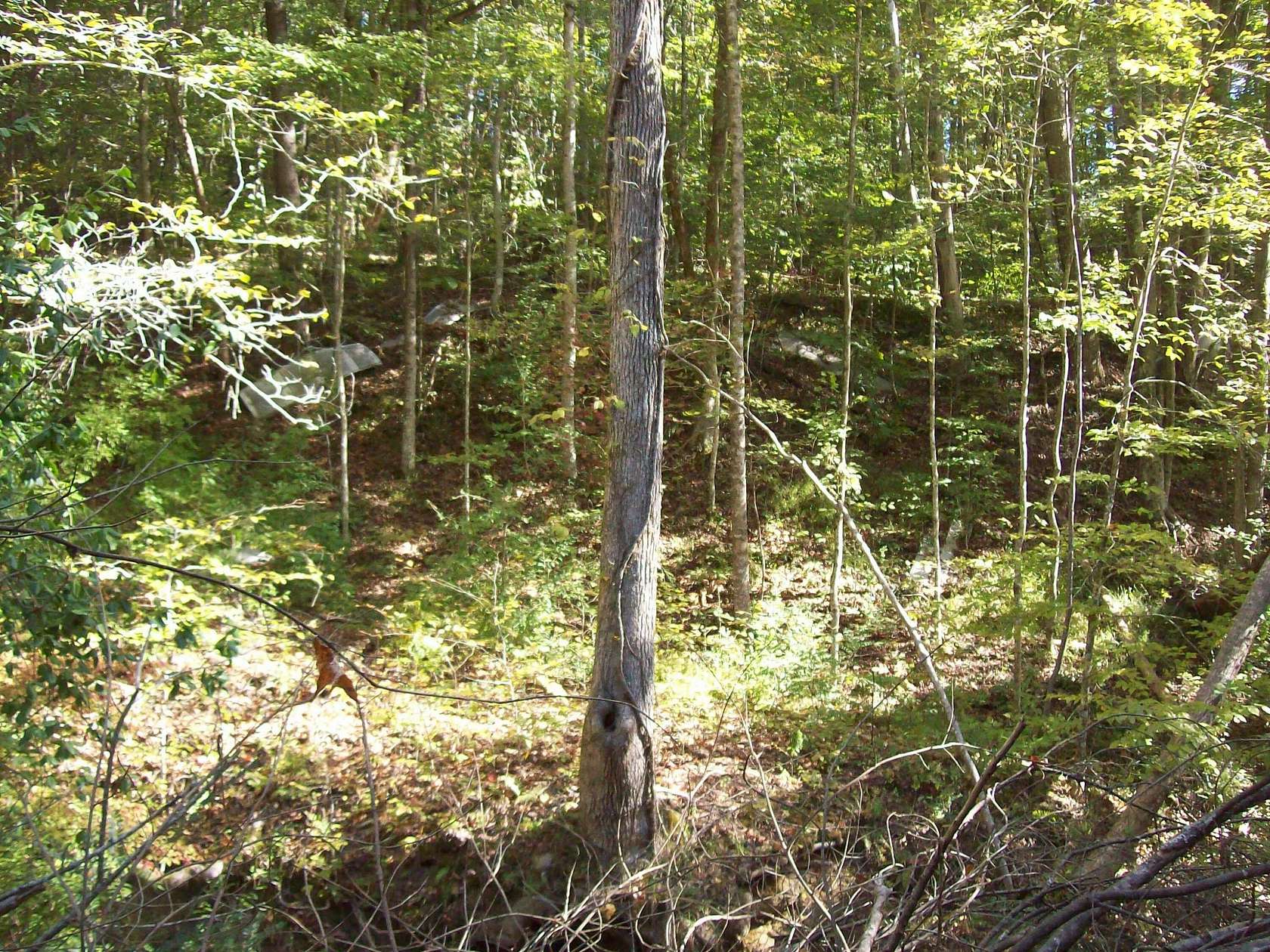 35.4 Acres of Recreational Land for Sale in Sneedville, Tennessee