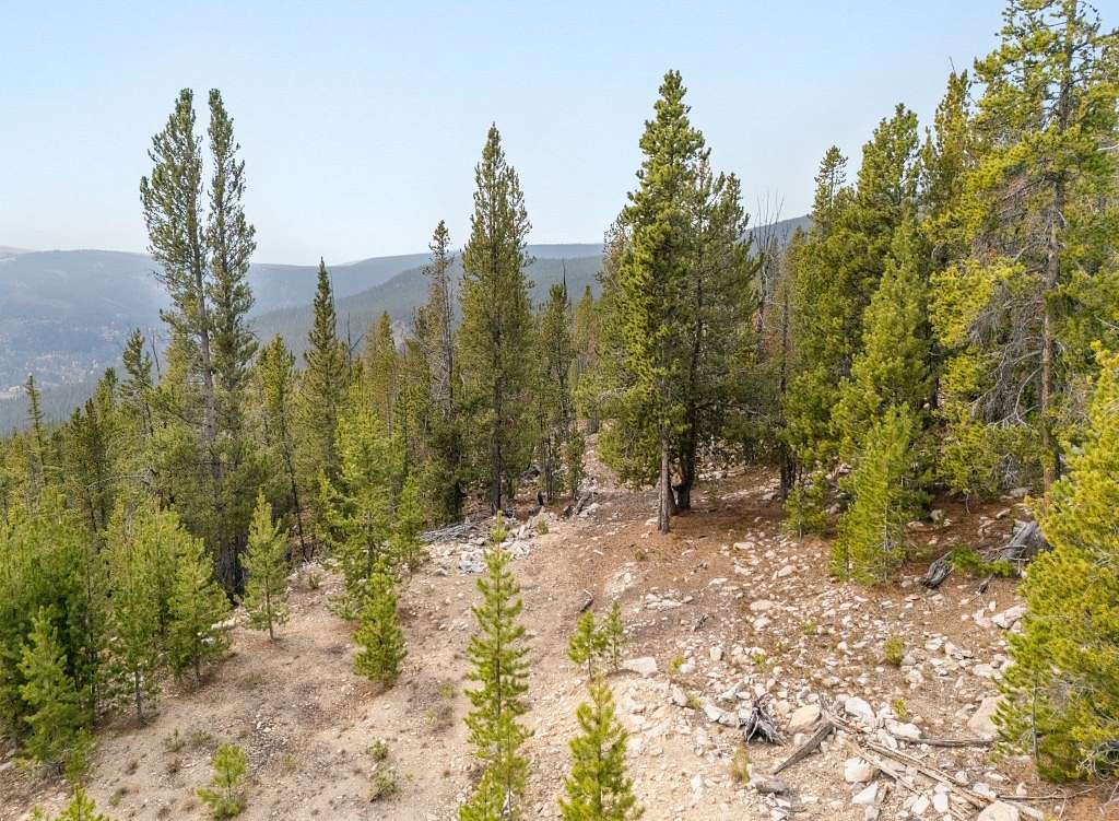 81 Acres of Recreational Land for Sale in Anaconda, Montana