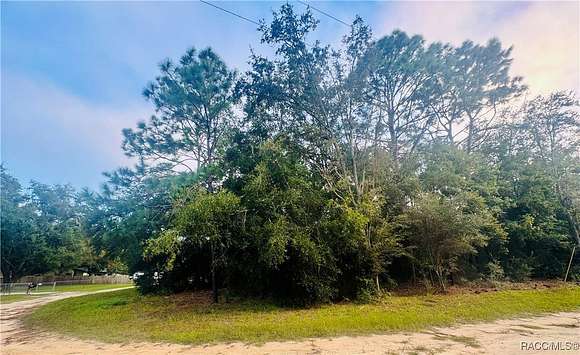 0.22 Acres of Residential Land for Sale in Crystal River, Florida