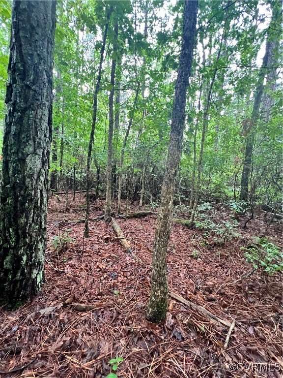 4 Acres of Residential Land for Sale in King William, Virginia