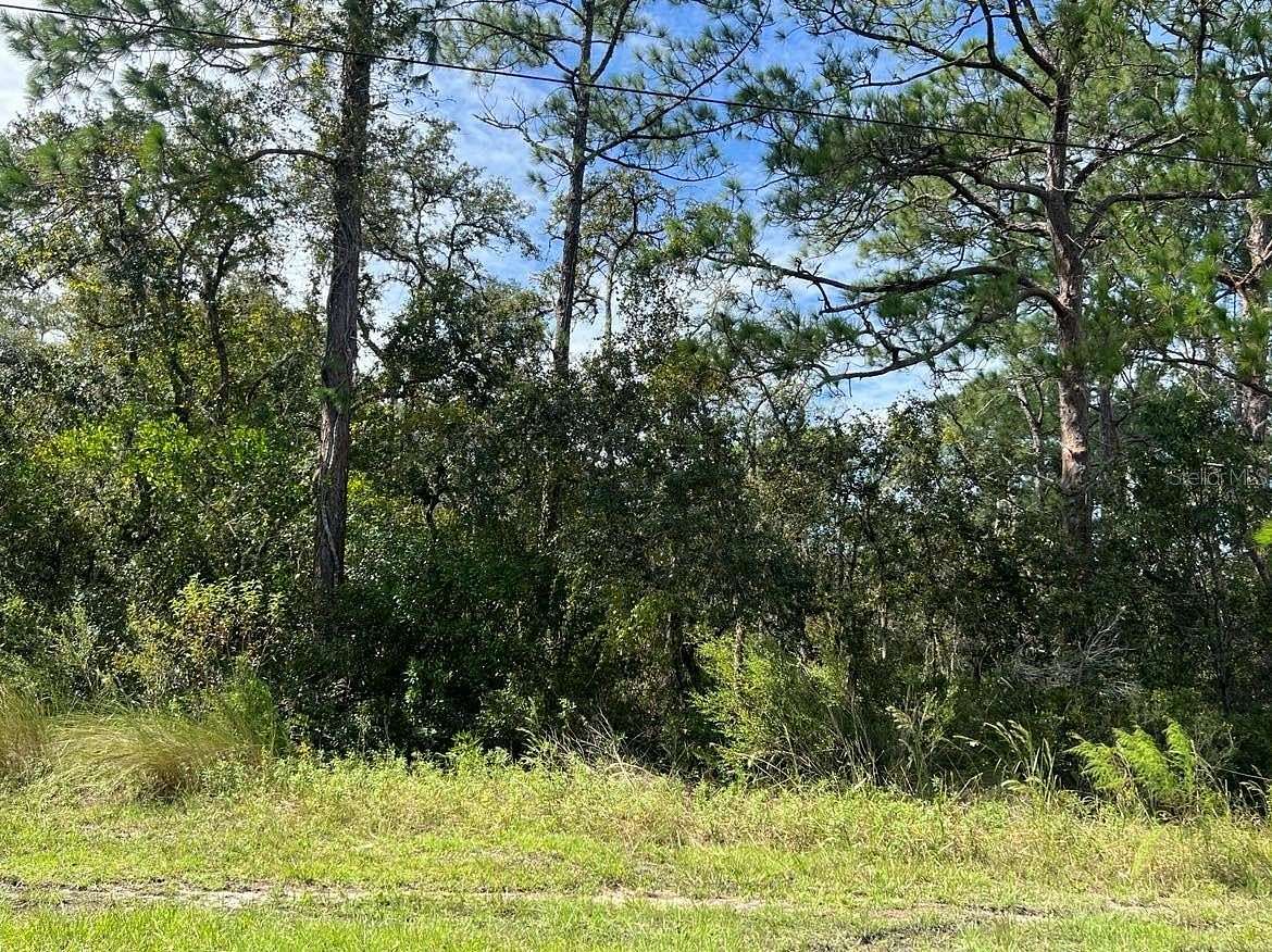 1.16 Acres of Residential Land for Sale in Webster, Florida