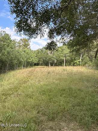 256 Acres of Recreational Land for Sale in Grayson, Louisiana