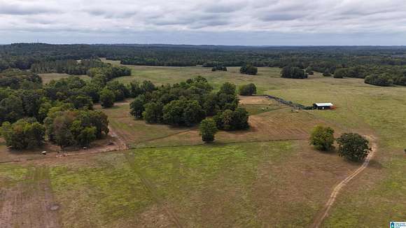 732 Acres of Recreational Land for Sale in Pine Apple, Alabama