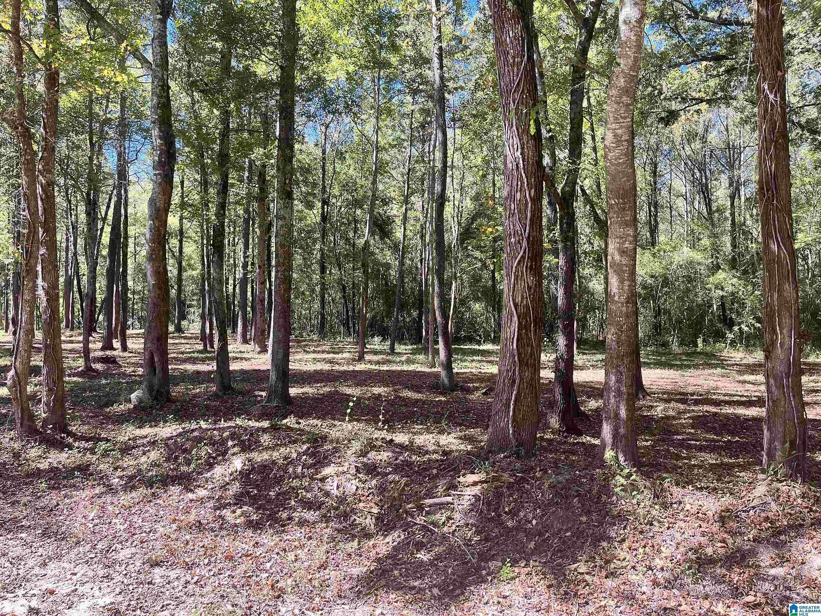 1.93 Acres of Land for Sale in Pell City, Alabama