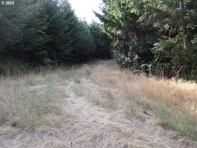 238.71 Acres of Land for Sale in Yamhill, Oregon