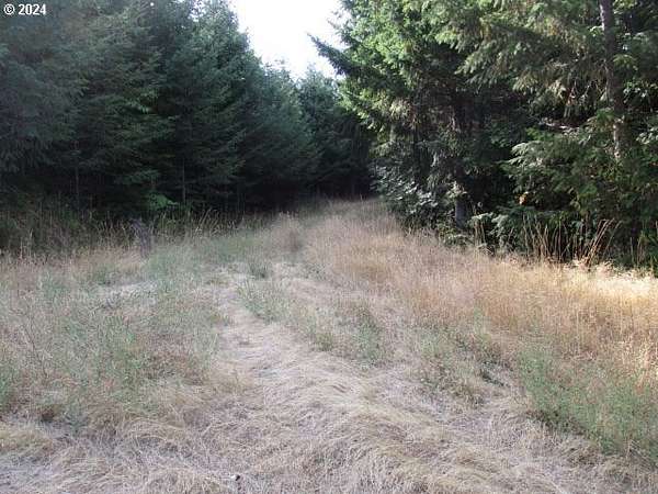 239 Acres of Land for Sale in Yamhill, Oregon