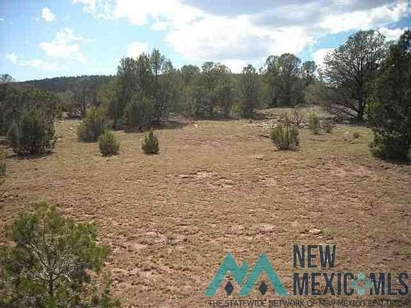 16 Acres of Land for Sale in Sheridan, New Mexico