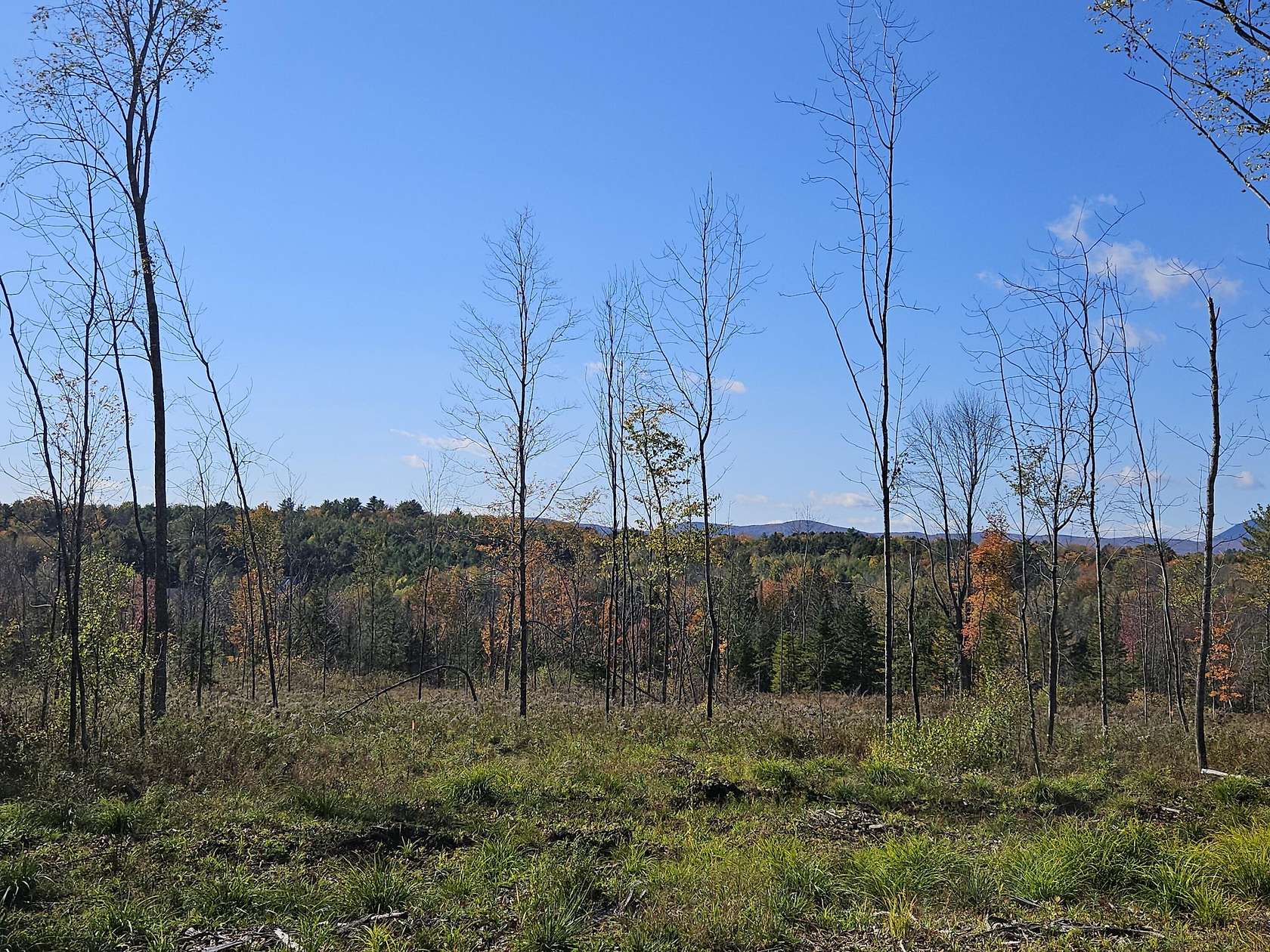 10.9 Acres of Recreational Land for Sale in Farmington, Maine