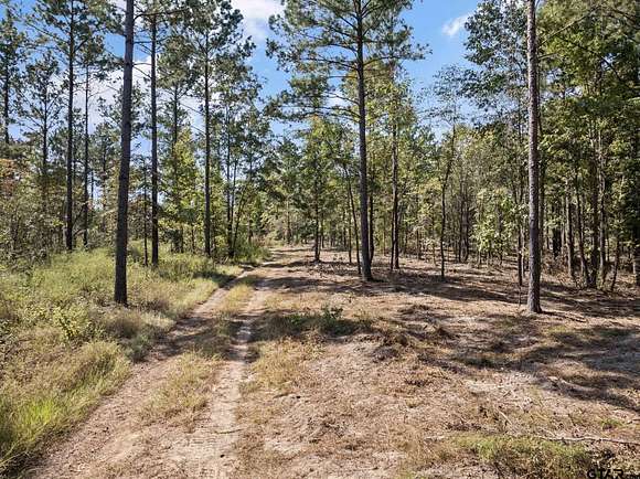 30.7 Acres of Recreational Land for Sale in Pittsburg, Texas