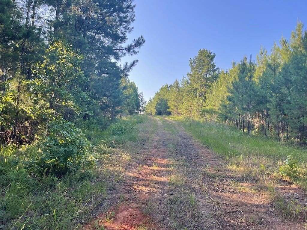 18.78 Acres of Land for Sale in Pineland, Texas