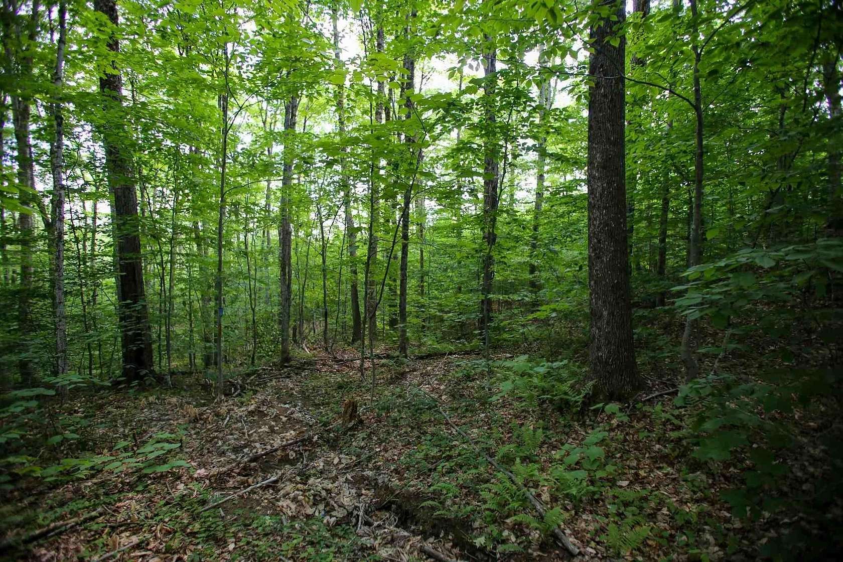 36.5 Acres of Recreational Land for Sale in Elmore Town, Vermont