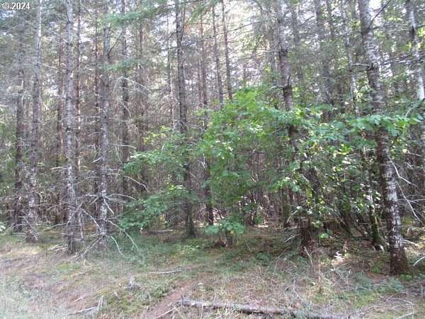 47 Acres of Recreational Land for Sale in Yamhill, Oregon