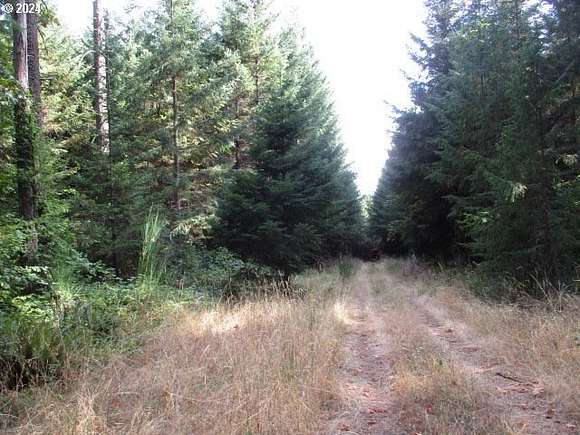 47.98 Acres of Recreational Land for Sale in Yamhill, Oregon