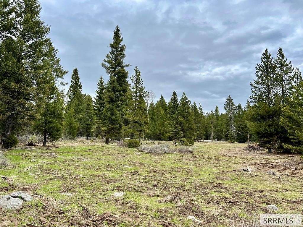 5 Acres of Residential Land for Sale in Island Park, Idaho