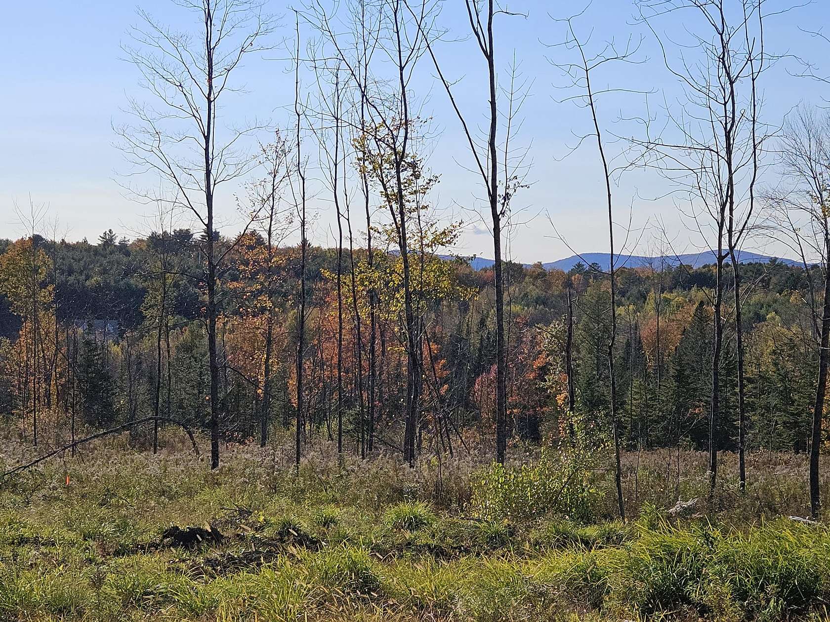 3.5 Acres of Residential Land for Sale in Farmington, Maine