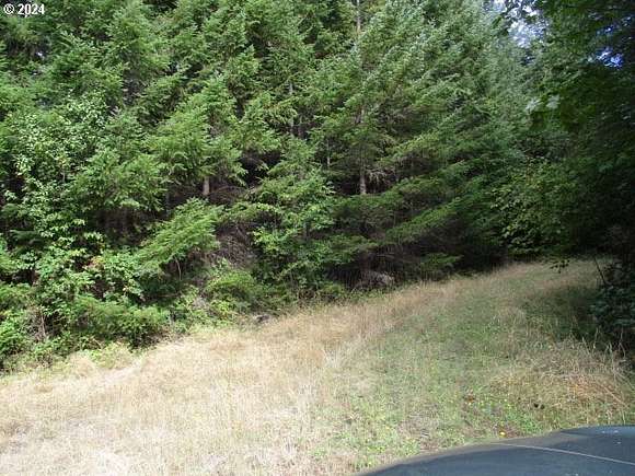 40 Acres of Recreational Land for Sale in Lebanon, Oregon