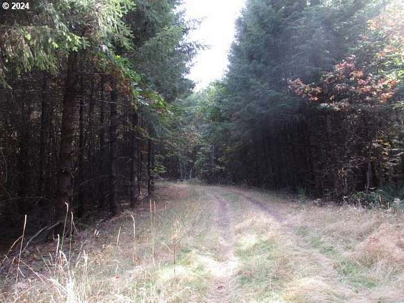 28.46 Acres of Land for Sale in Yamhill, Oregon