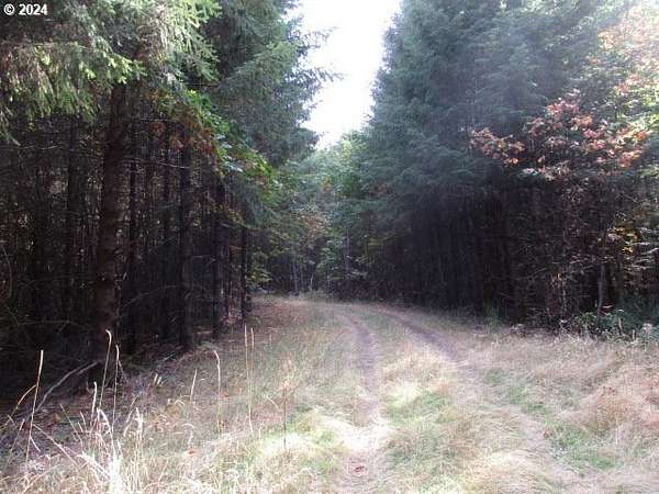 28.5 Acres of Land for Sale in Yamhill, Oregon