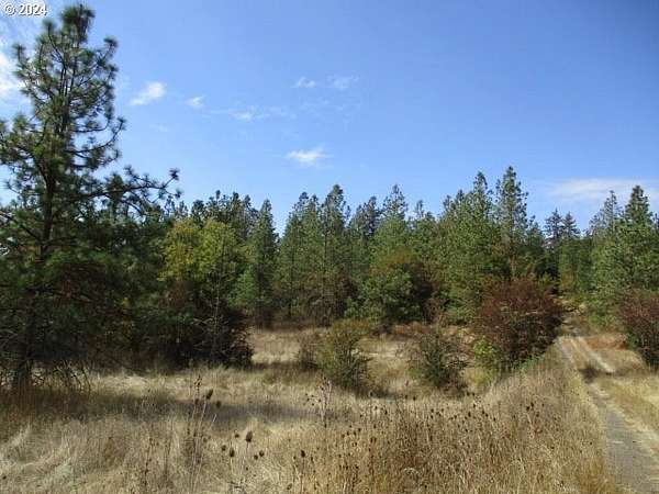 173 Acres of Recreational Land for Sale in Lebanon, Oregon