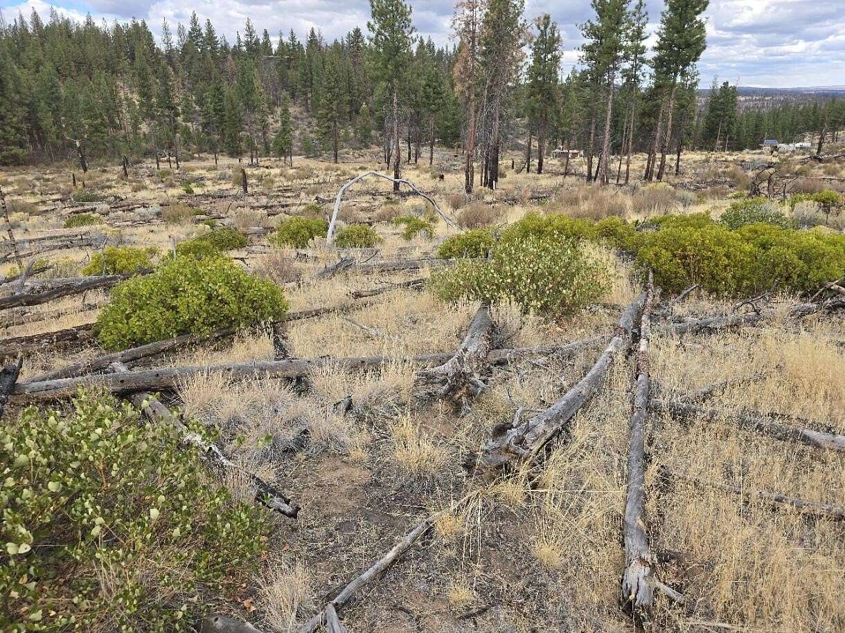 2 Acres of Residential Land for Sale in Beatty, Oregon