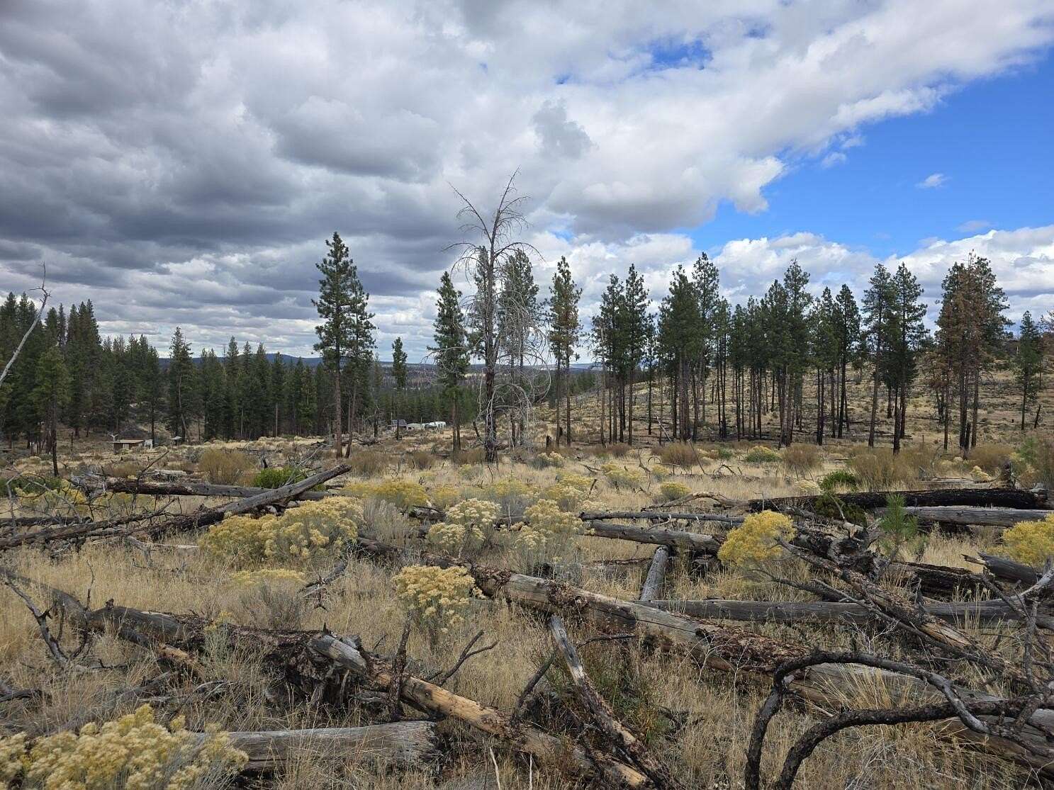 2 Acres of Residential Land for Sale in Beatty, Oregon
