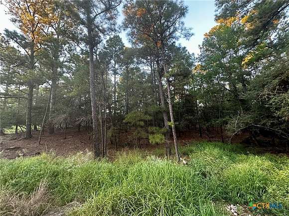 0.618 Acres of Residential Land for Sale in La Grange, Texas