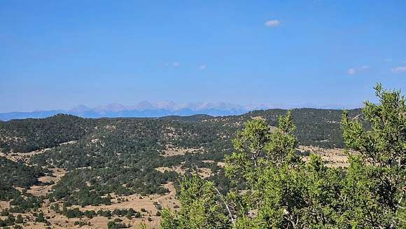 320 Acres of Recreational Land for Sale in Trinidad, Colorado