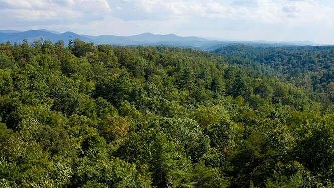 9.9 Acres of Residential Land for Sale in Ellijay, Georgia