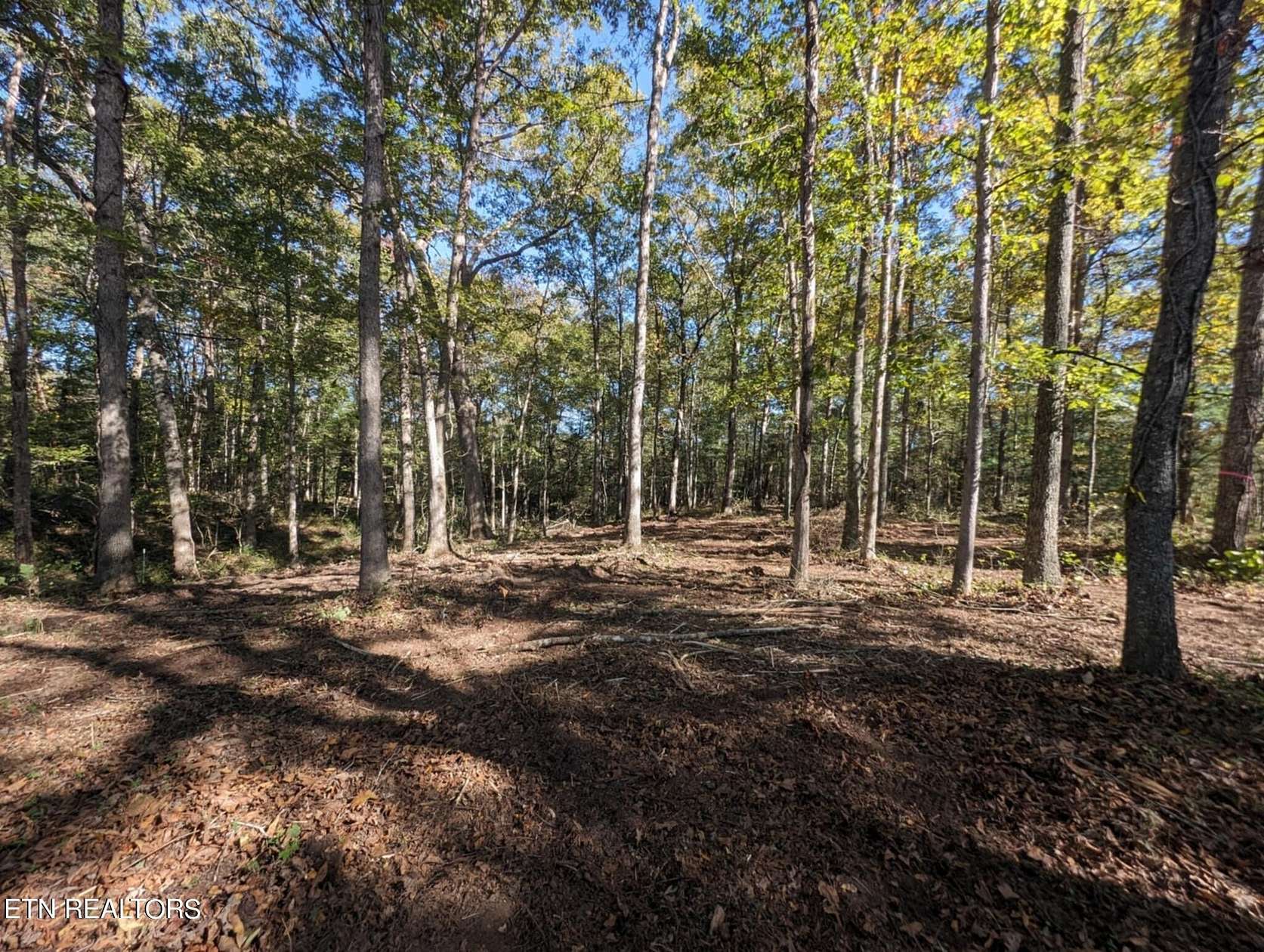 1.7 Acres of Residential Land for Sale in Allardt, Tennessee