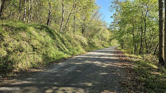 34.46 Acres of Agricultural Land for Sale in Jonesville, Virginia