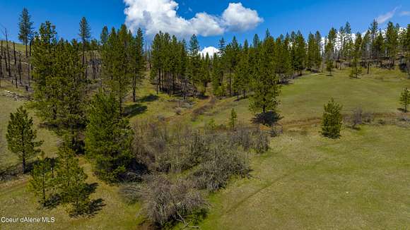 20.14 Acres of Recreational Land for Sale in Weippe, Idaho